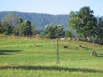 zacisze.brenna.prv.pl